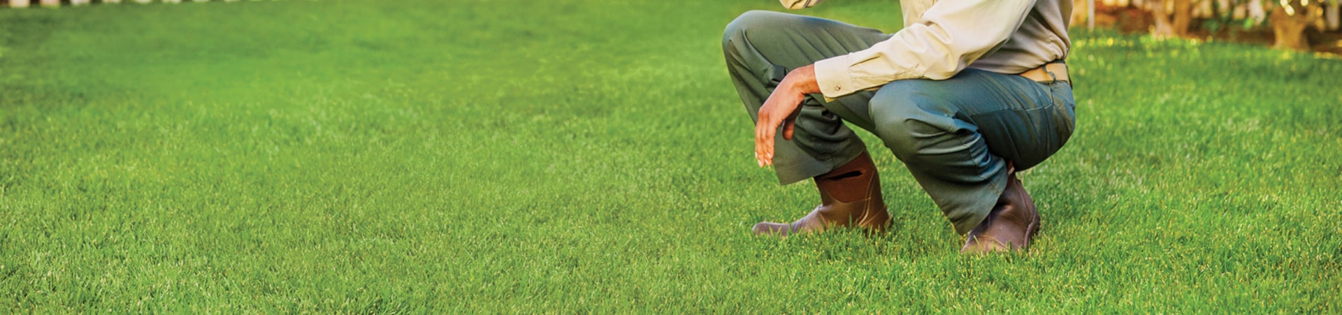 Commercial Lawn Care