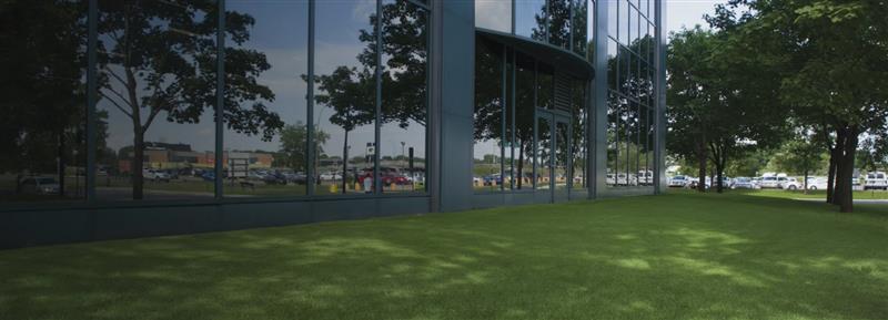 Lush, green lawns for the win